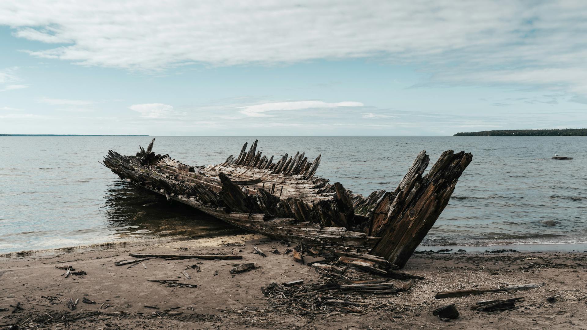 Rustic wooden shipwreck on the Baltic Sea coast under a cloudy sky.