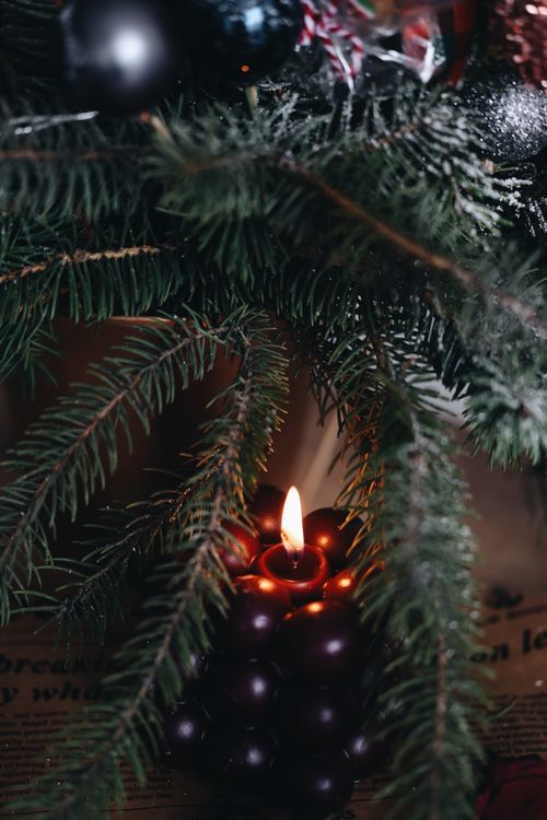 Free Cozy scene featuring a lit candle surrounded by evergreen branches, evoking holiday warmth and ambiance. Stock Photo