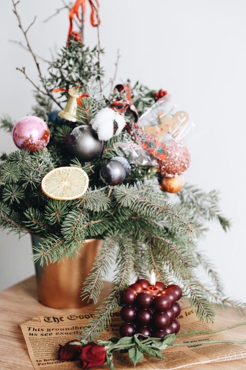 Free Artistic Christmas decoration featuring pine branches with ornaments and dried citrus. Stock Photo