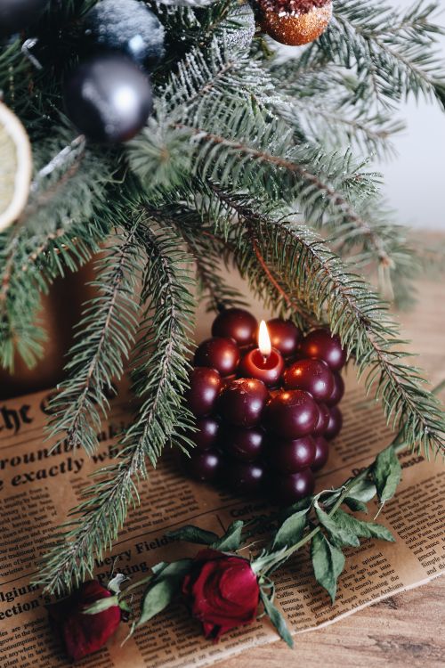 Free Elegant winter scene with a lit candle, pine branches, and red rose on vintage paper. Stock Photo