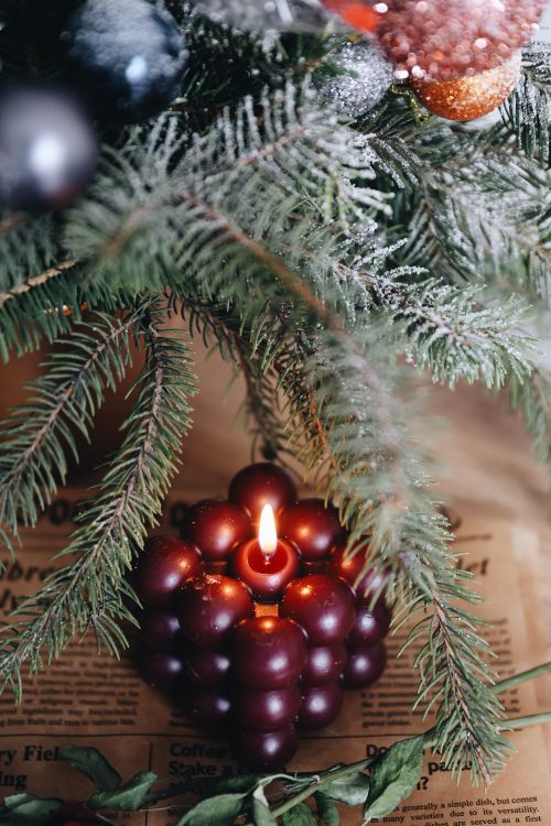 Free A festive grape-shaped candle under evergreen branches creates a cozy holiday ambiance. Stock Photo