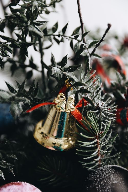 Free Close-up of a festive Christmas bell with frosty pine branches and decorative ribbons. Stock Photo