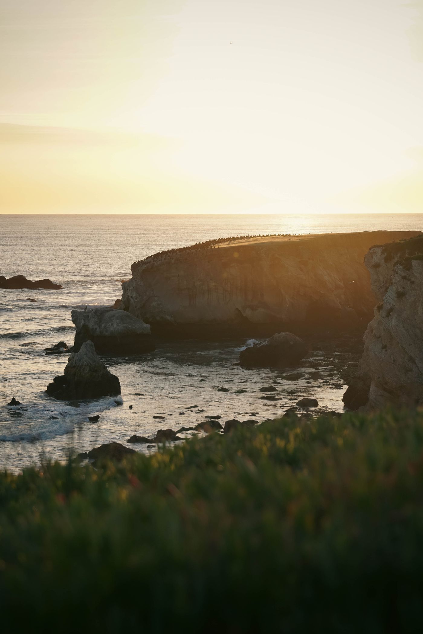 Coastal scenery in the wider Pismo Beach area of California