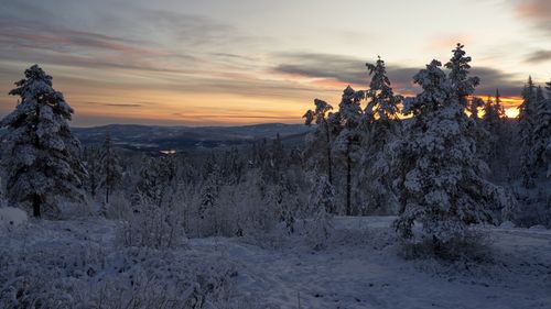 Free Captivating winter sunset over snowy forest in Krøderen, Norway. Stock Photo