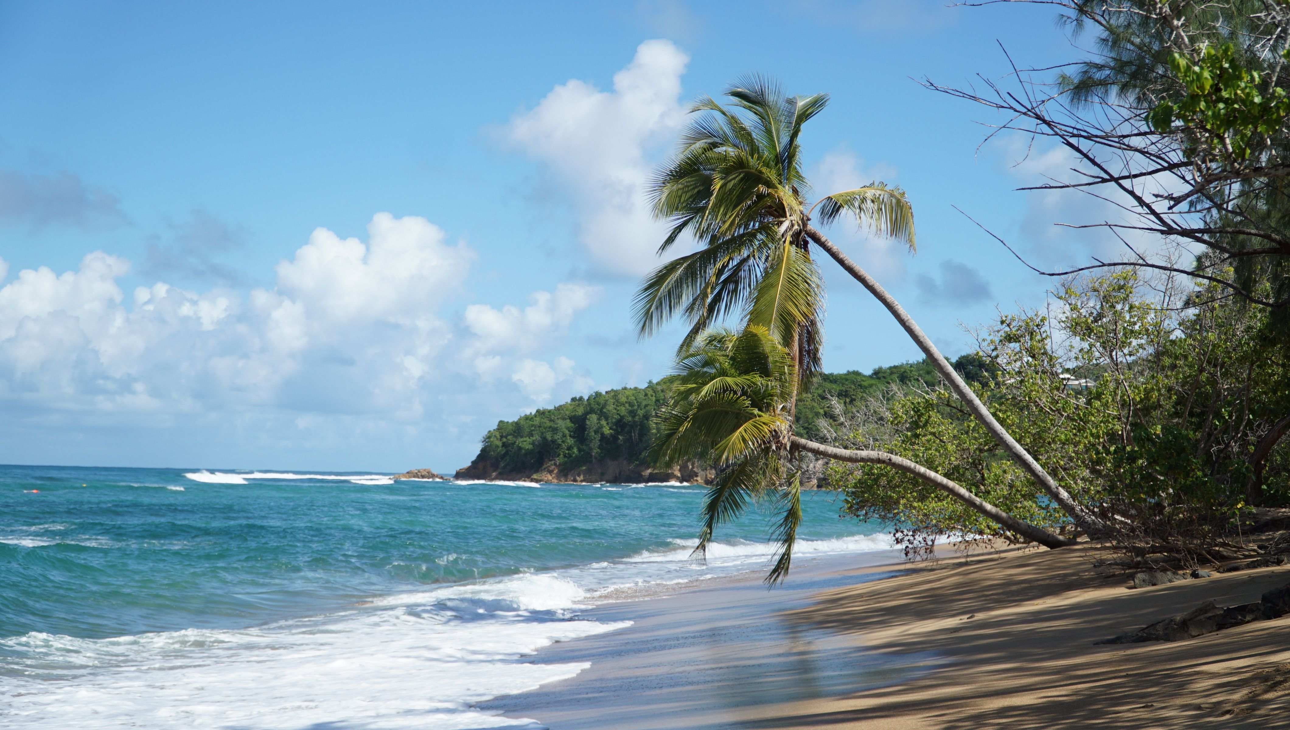 Is Guadeloupe Safe To Visit — Guadeloupe travel guide photo