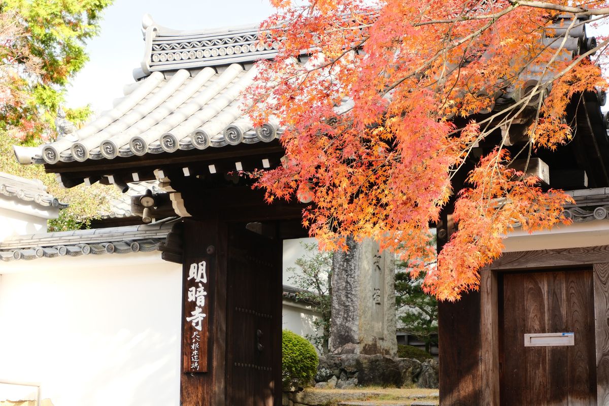 A Japanese temple gate framed by vivid red and orange autumn maple foliage, similar to the temple gates of Koyasan in autumn