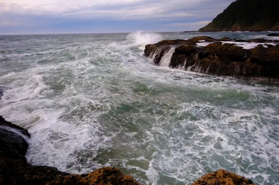 The forested headland of Cape Perpetua above the Pacific