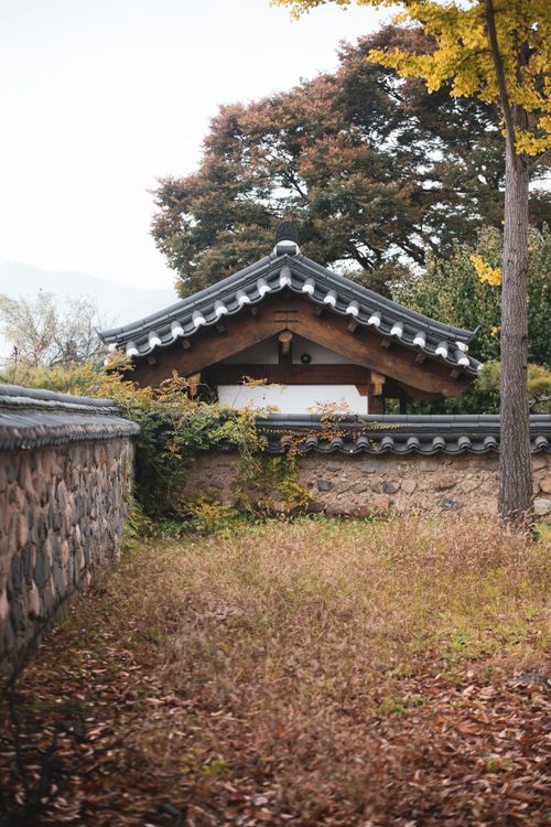 가을 단풍 속의 전통 한국 한옥 · 무료 스톡 사진