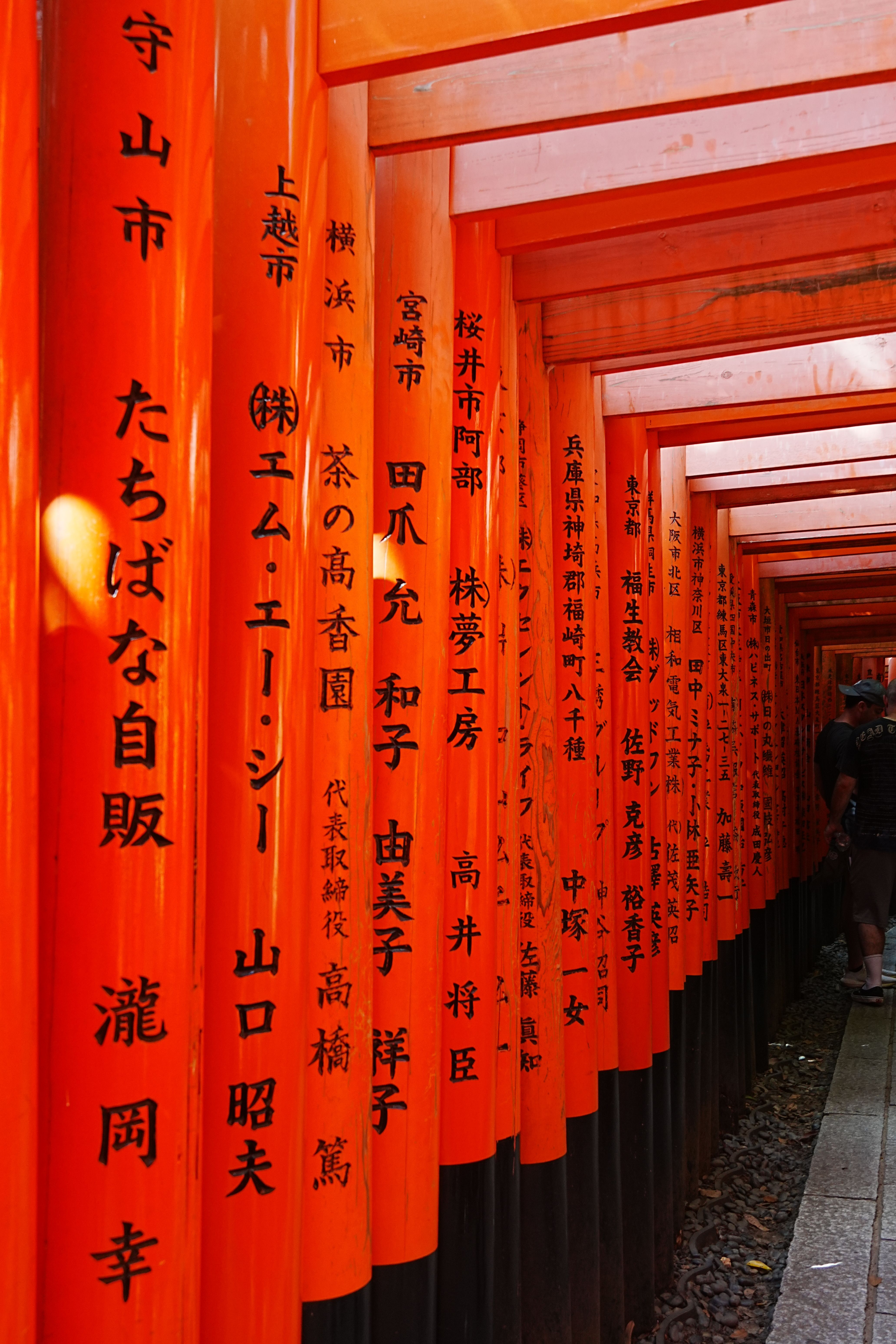 A stunning view through the vibrant orange torii gates at Fushimi Inari Taisha in Kyoto, Japan.