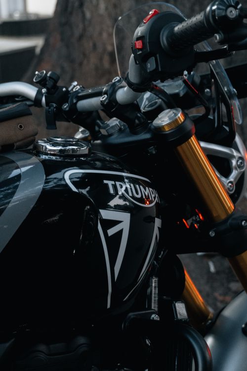 Free Detailed shot of a black motorcycle parked under trees in Bengaluru, India. Stock Photo