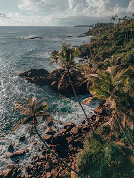 Breathtaking view of palm-lined rocky shores and ocean waves in Sri Lanka's natural beauty.