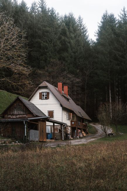 Explore the charm of a rustic cabin nestled in the serene Austrian forest.