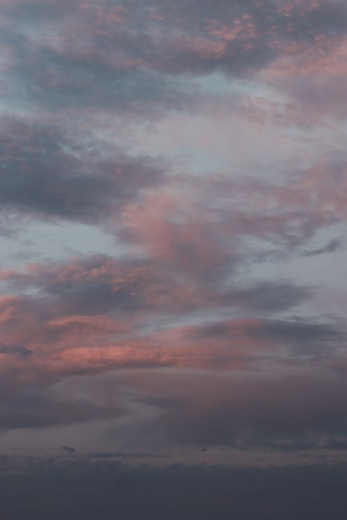 Free Beautiful pink and gray clouds create a serene evening sky, perfect for backgrounds. Stock Photo