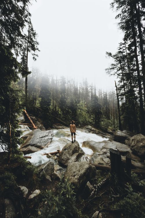 Free Mist-covered forest with a cascading waterfall in Vysoké Tatry, Slovakia. Ideal for nature enthusiasts. Stock Photo