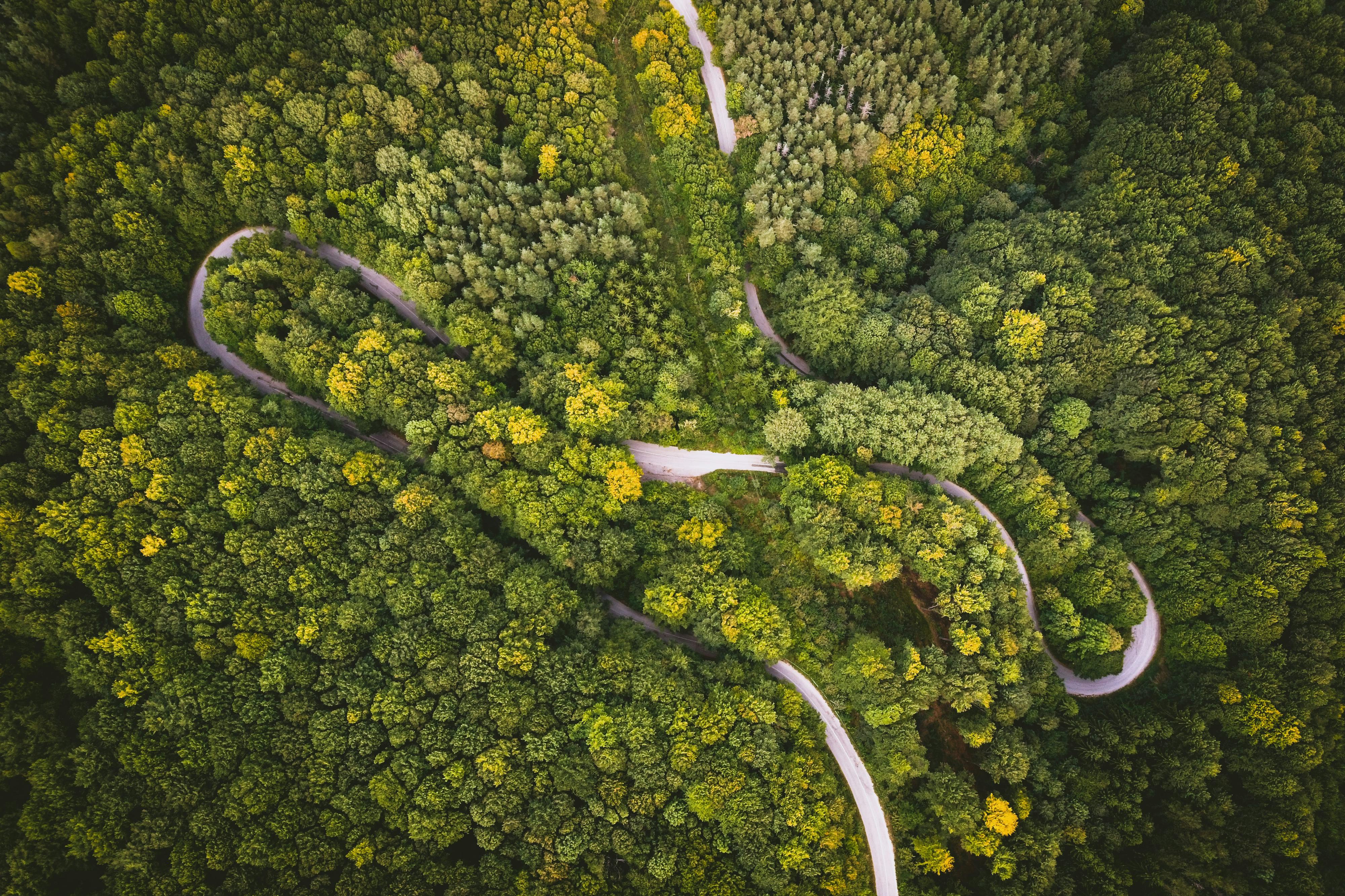 IT and Environmental, Social, and Corporate Governance (ESG), Part One: A CEO and Board Concern — Photo by Kristian Aleksandr