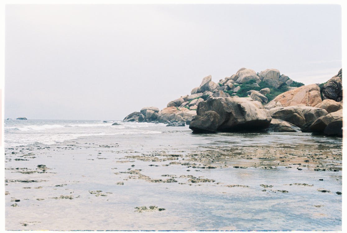 Rocks By The Ocean