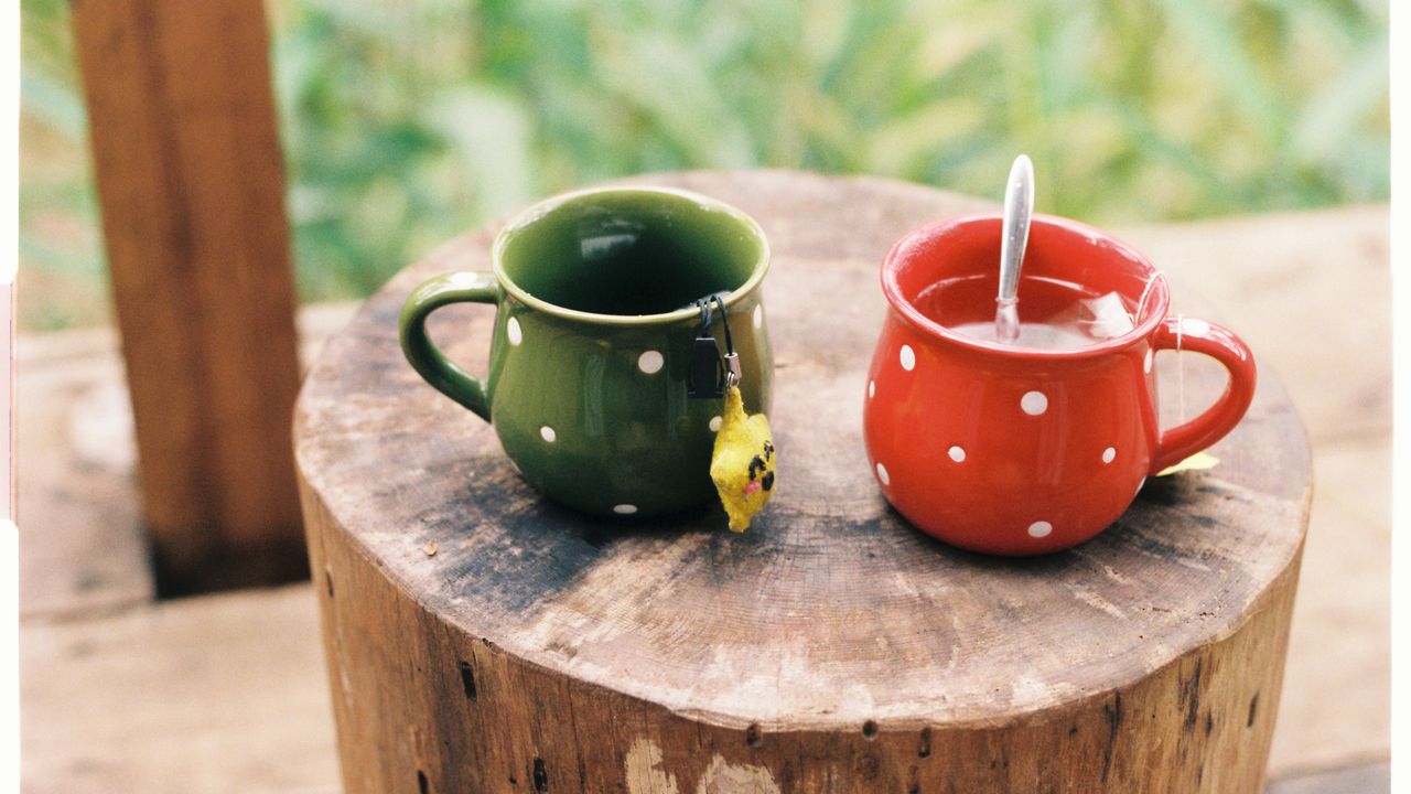 Stock photograph setting the scene for the Emma Bridgewater guide