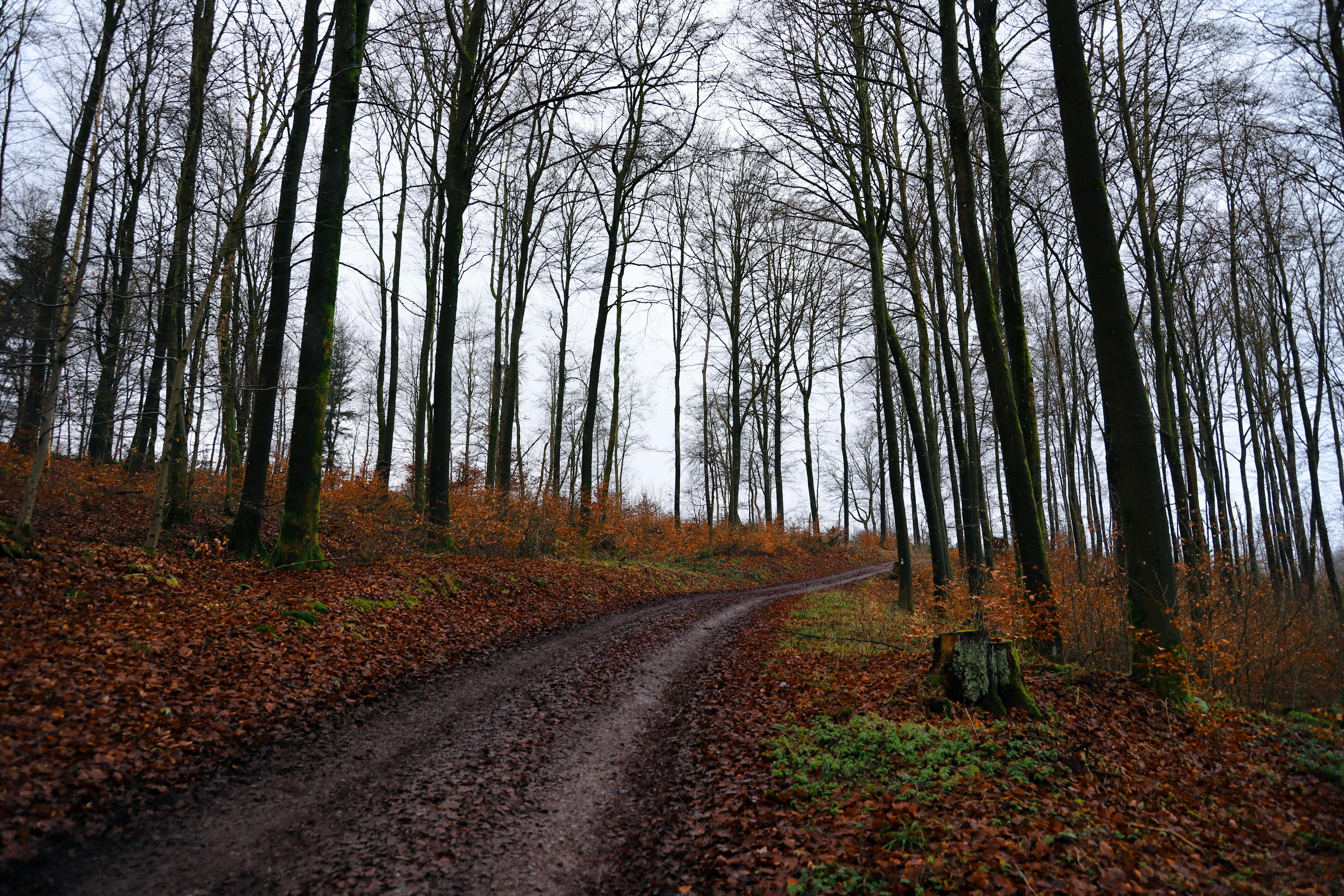 Famous Sayings for Embracing Change