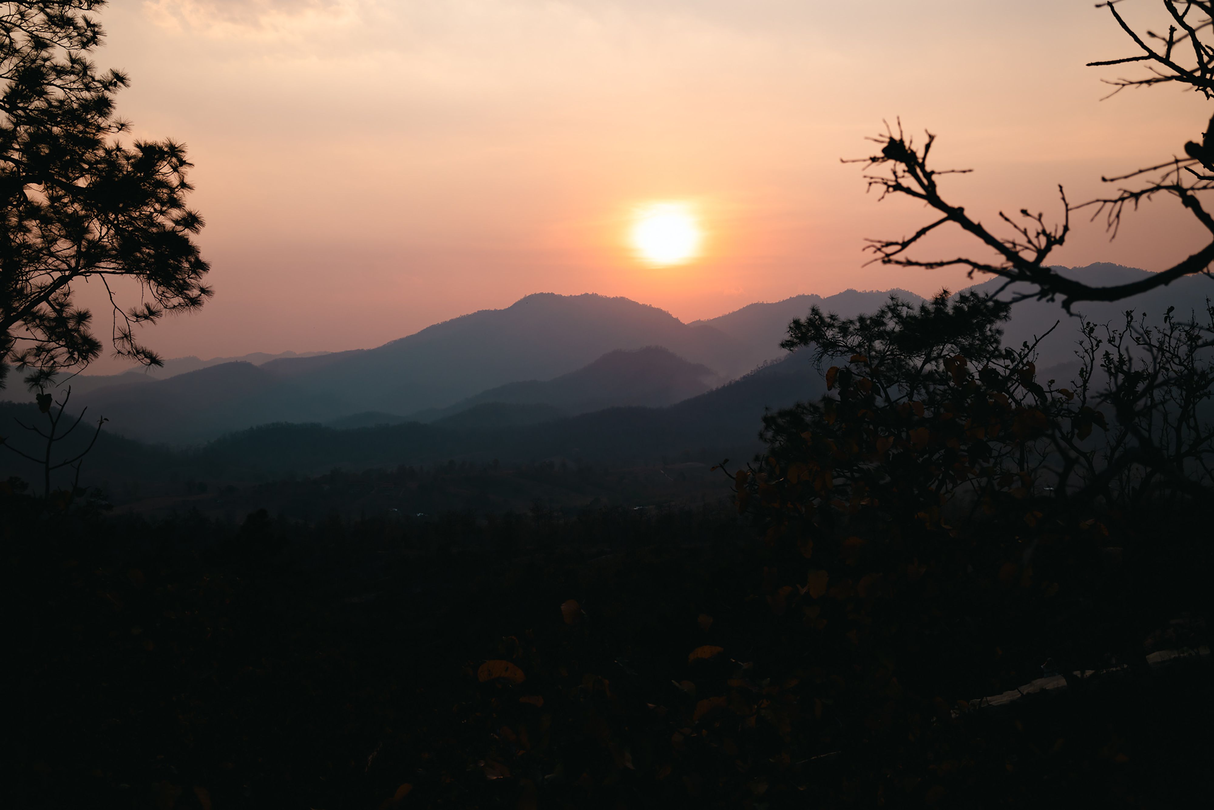 Serene Mountain Sunset with Silhouetted Trees · Free Stock Photo