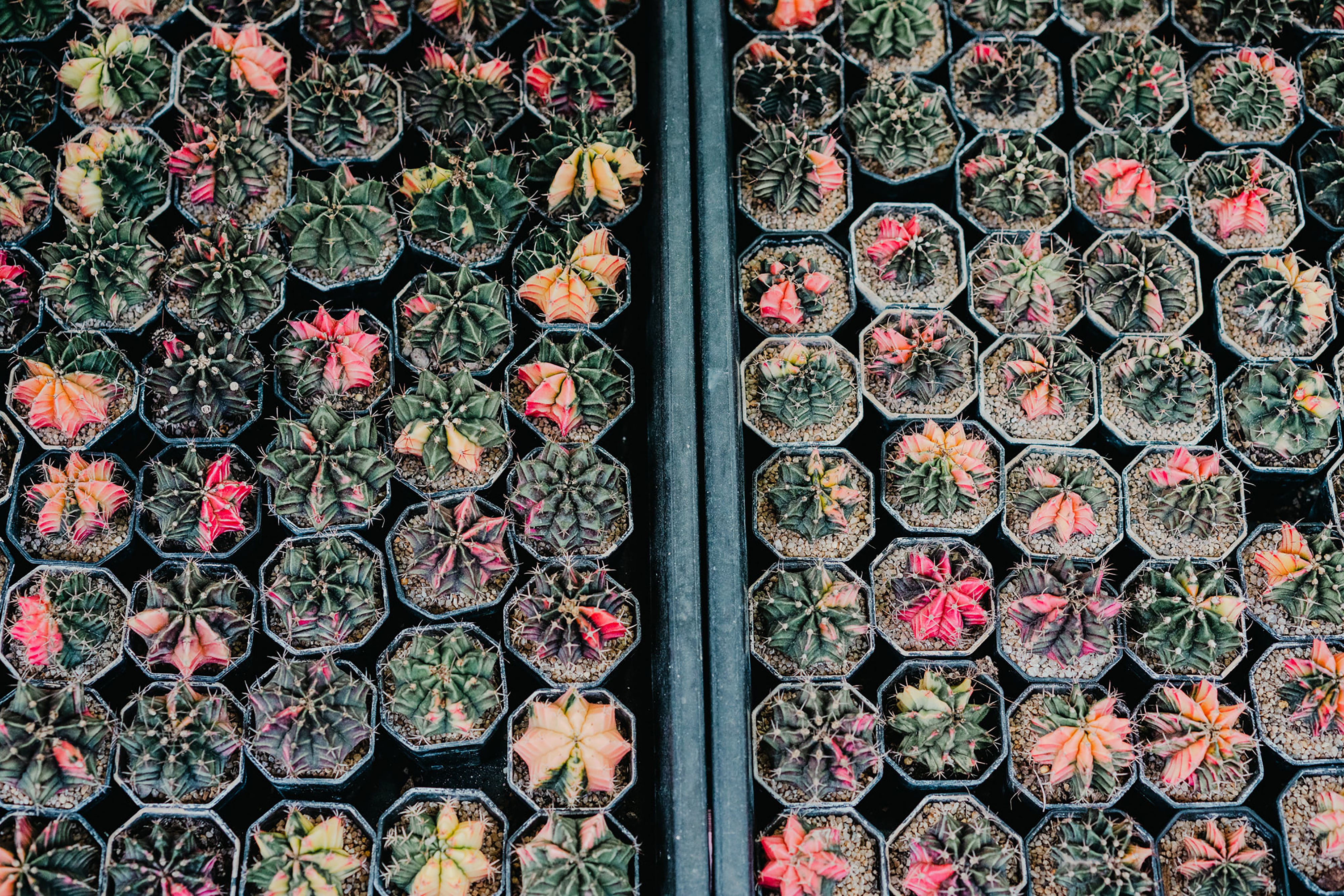 Best Gardening Deals July
