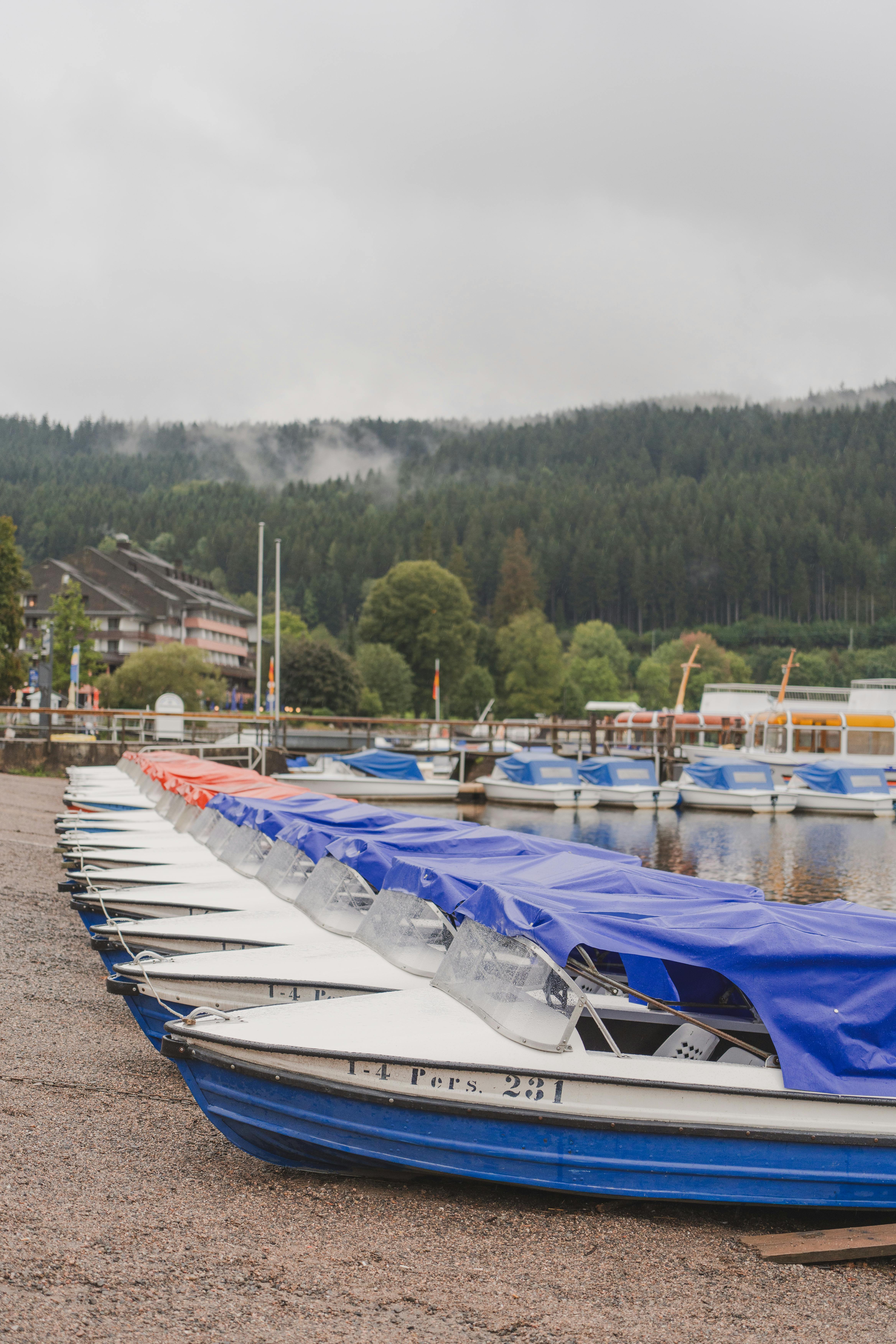 scenic boats at titisee lake in germany