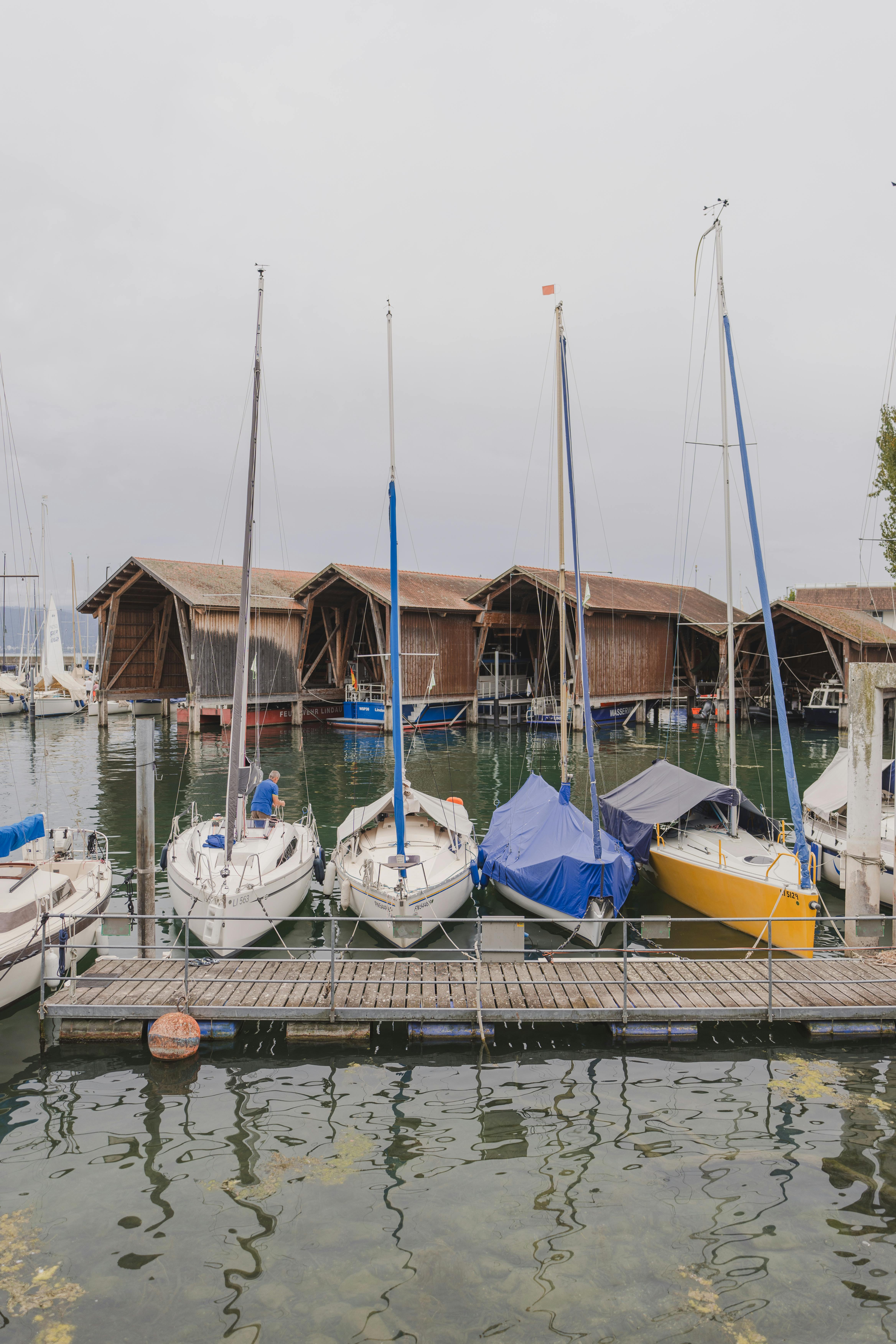 sailboats docked on lake constance in germany