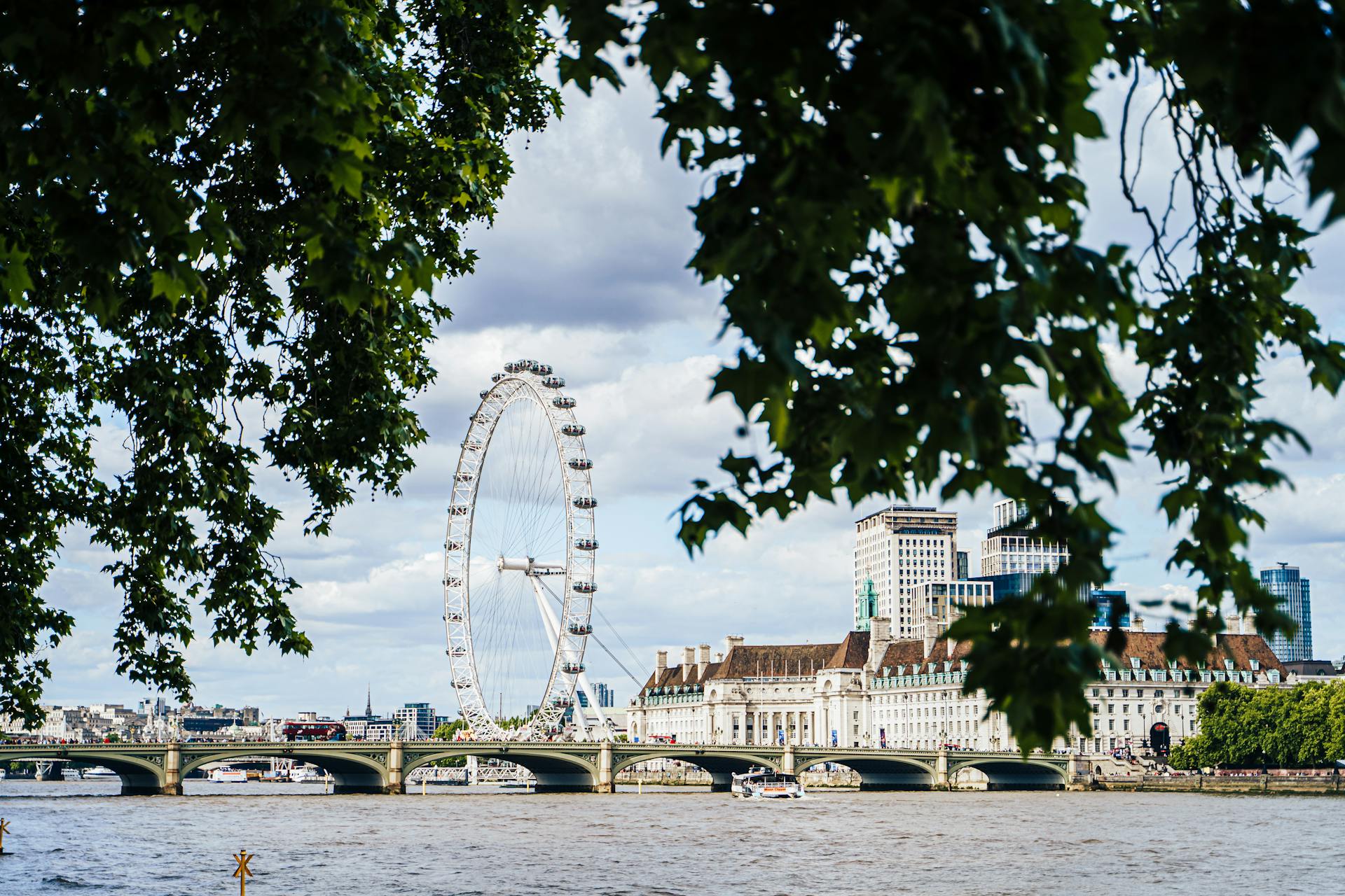 Scenic view of the London Eye and River Thames framed by trees on a sunny summer day.