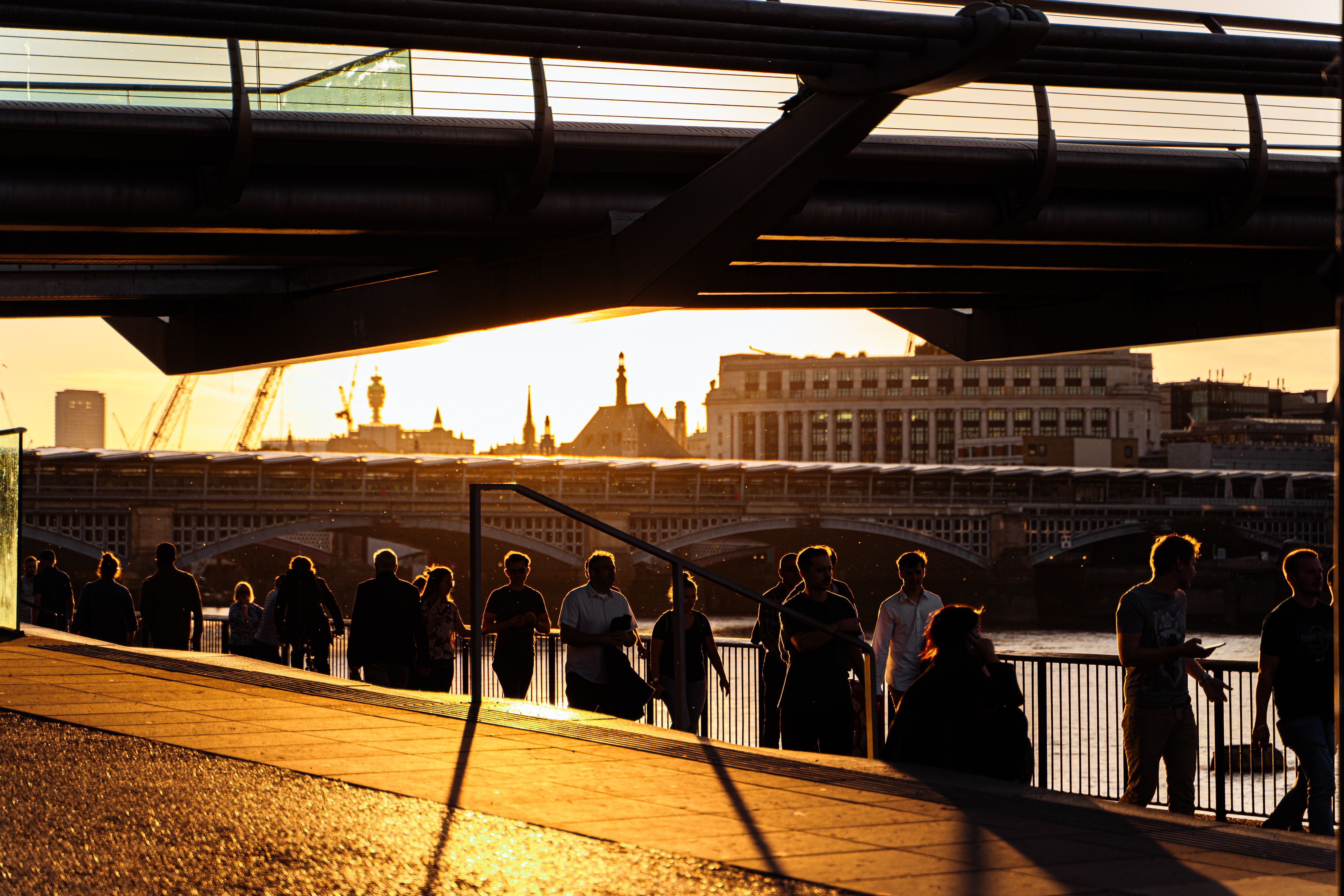 600 plus people benefit from health camp — Photo by Daria Agafonova on Pexels