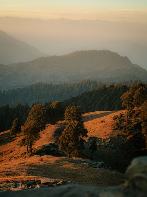 Golden Sunrise Jibhi Hills