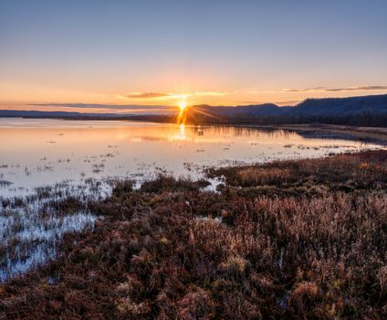Golden sunrise over Weaver Lake, Minnesota reflecting on calm waters and lush wetlands.