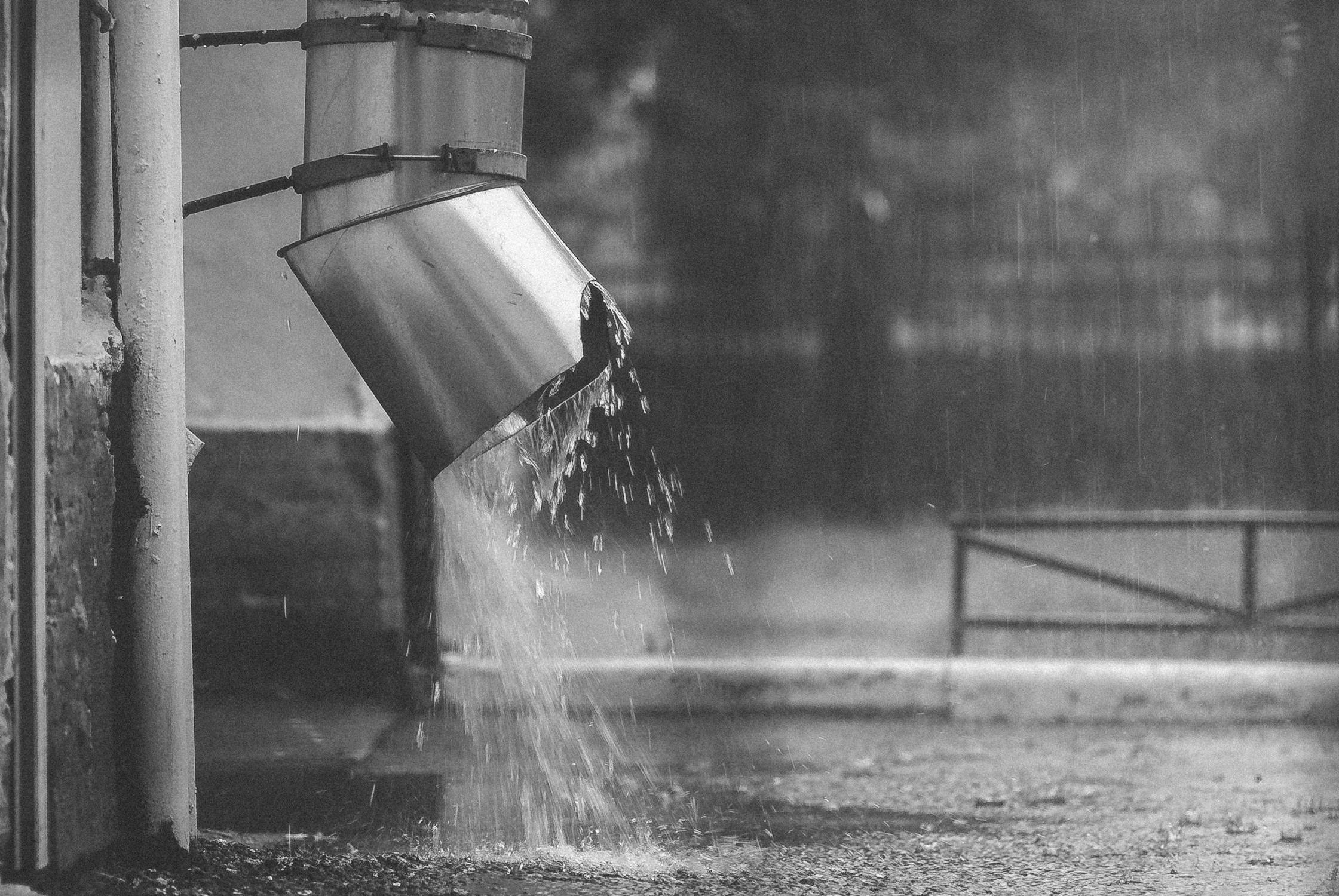 Free stock photo of 4k wallpaper, black and white, HD
