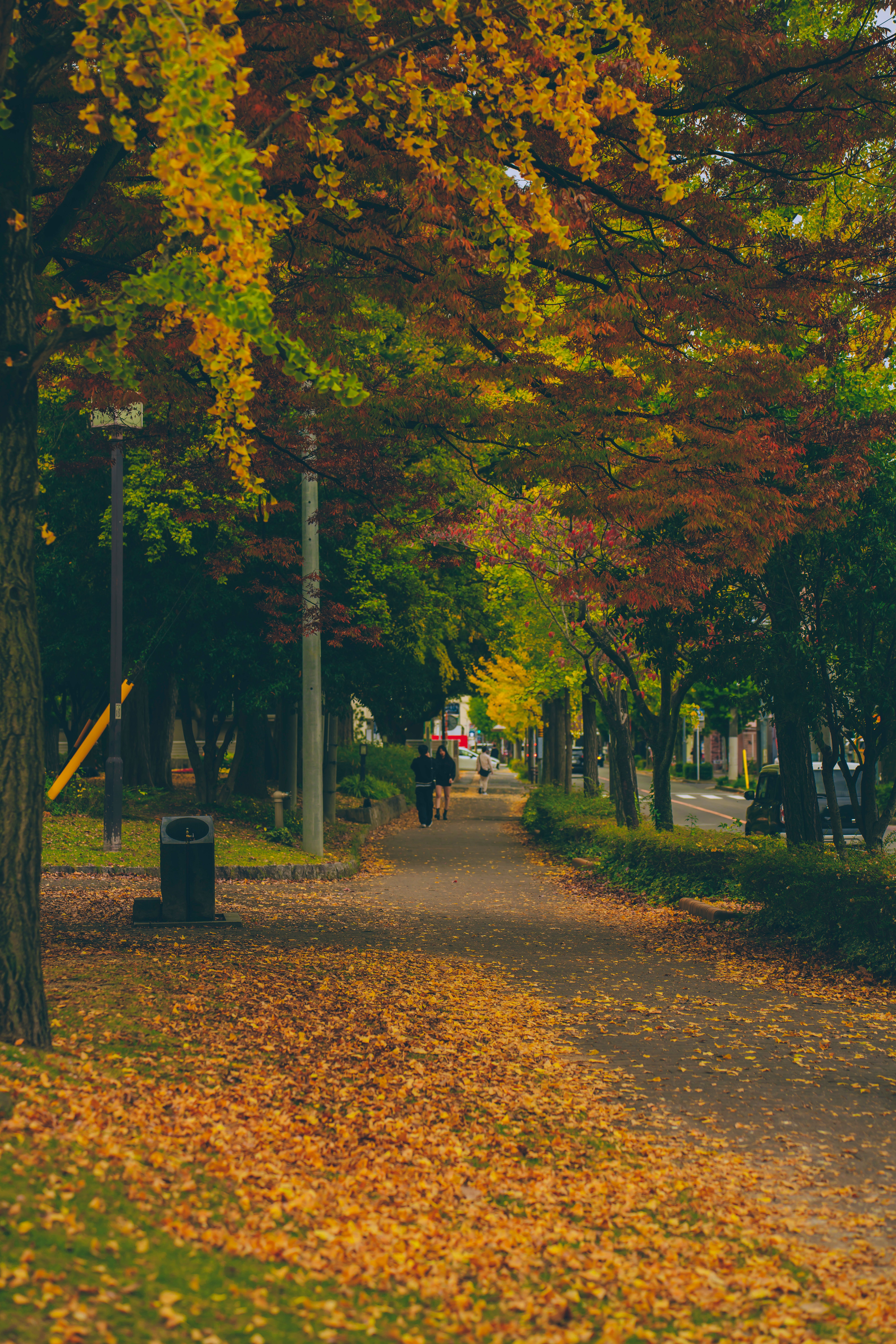 Scenic Autumn Walkway Through Vibrant Park · Free Stock Photo