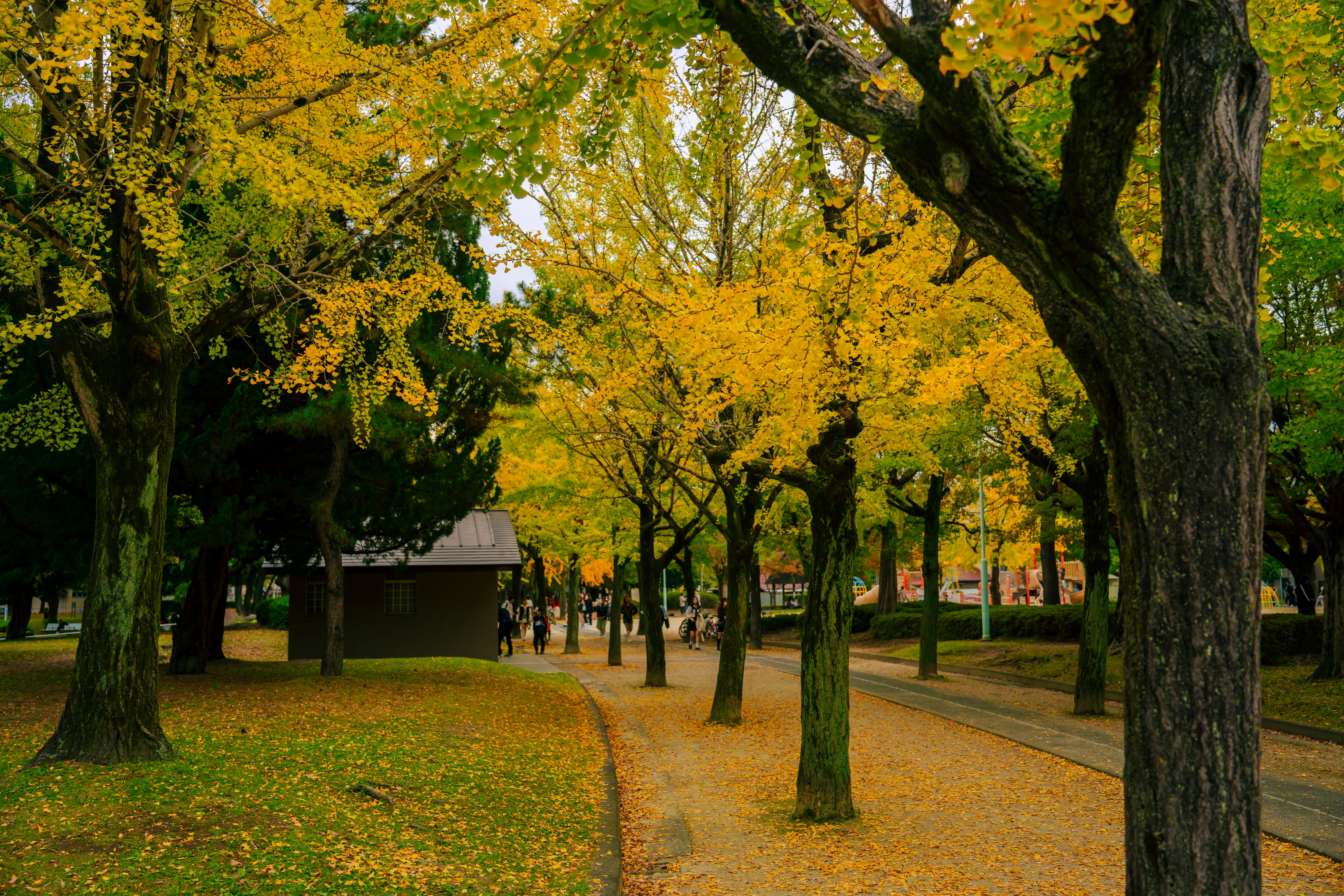 Cautions and Contraindications for Walking for Hormonal Balance