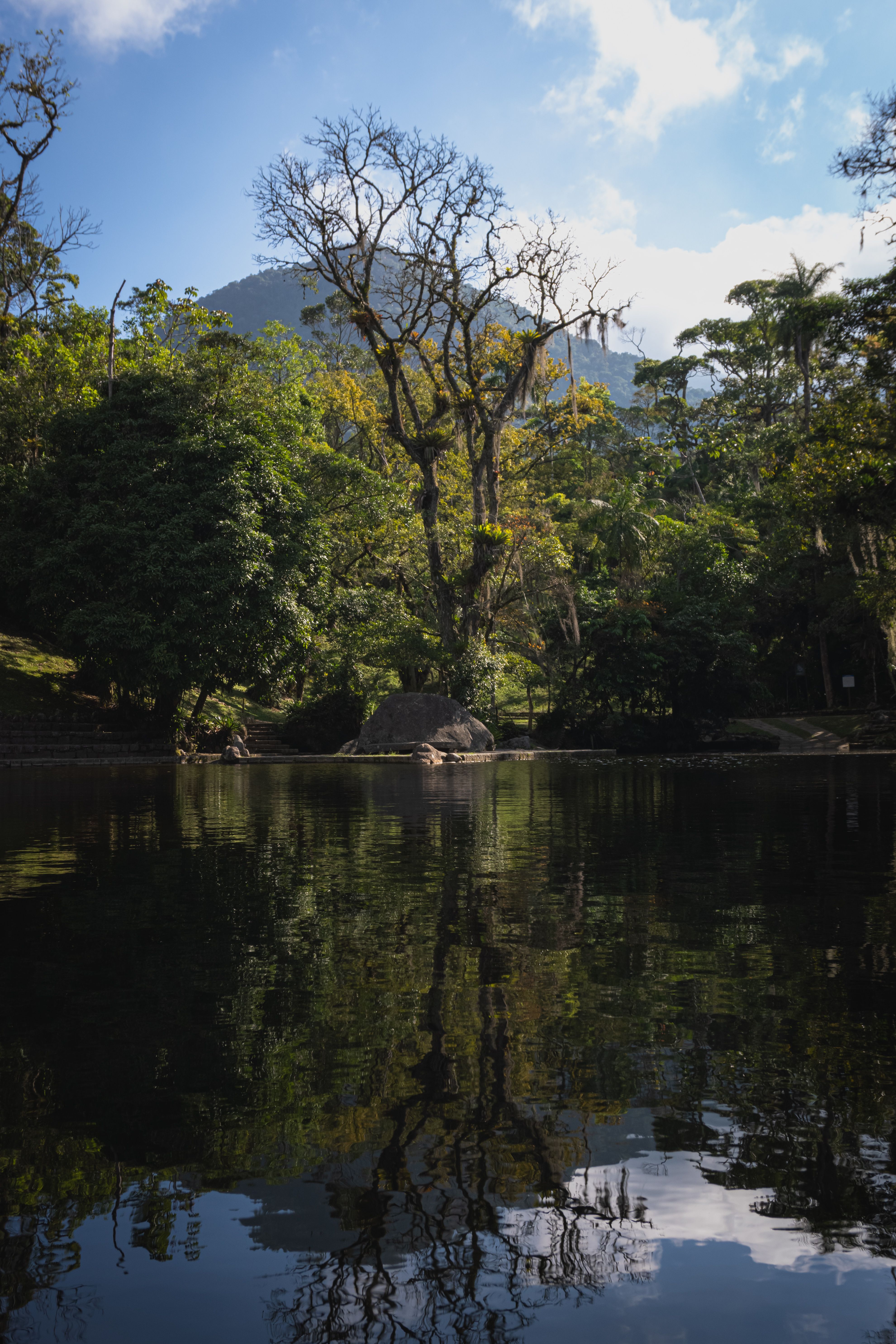 Beautiful forest and lake reflection in Teresópolis, Brazil.