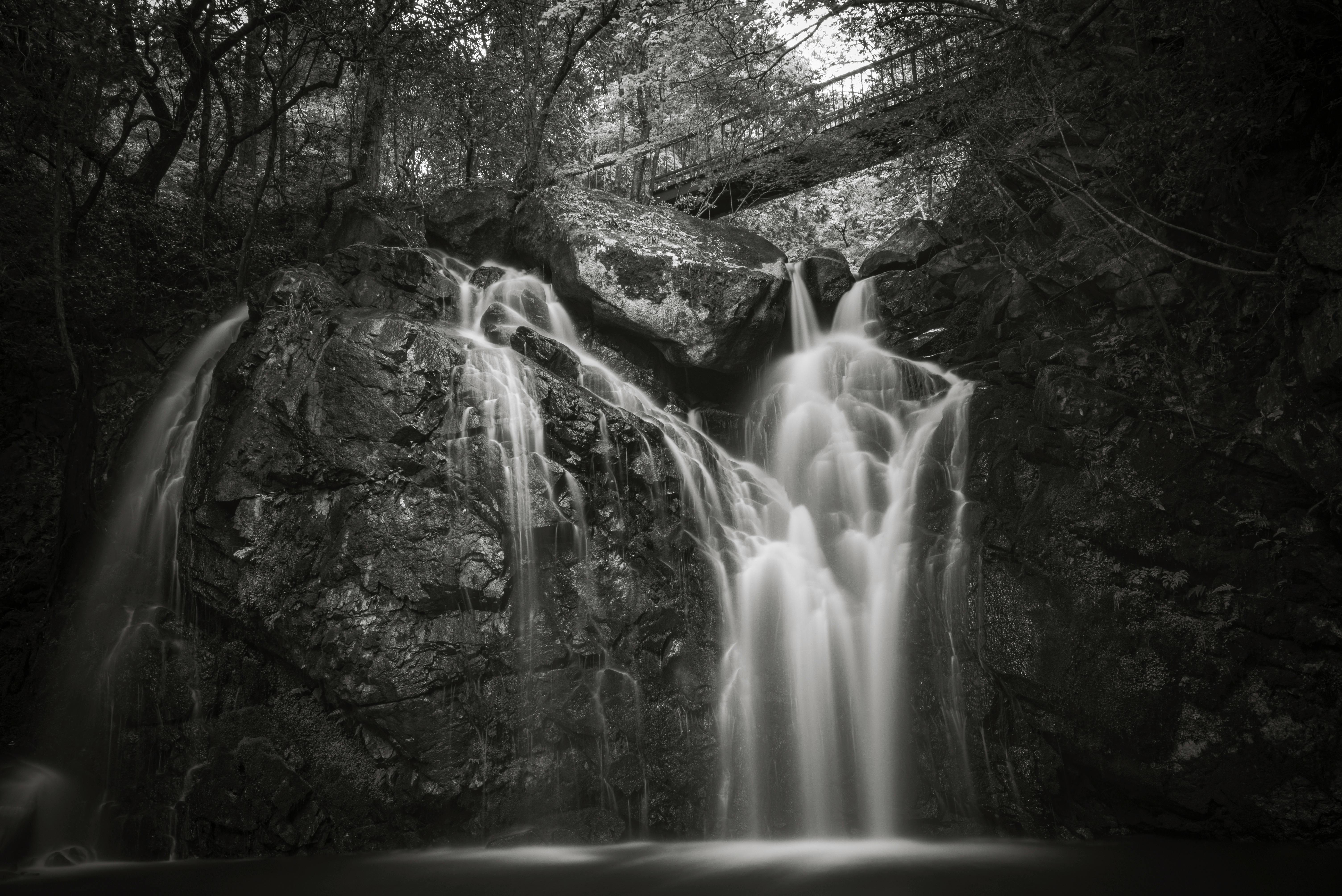 Tranquil black and white waterfall nestled in a serene forest setting.