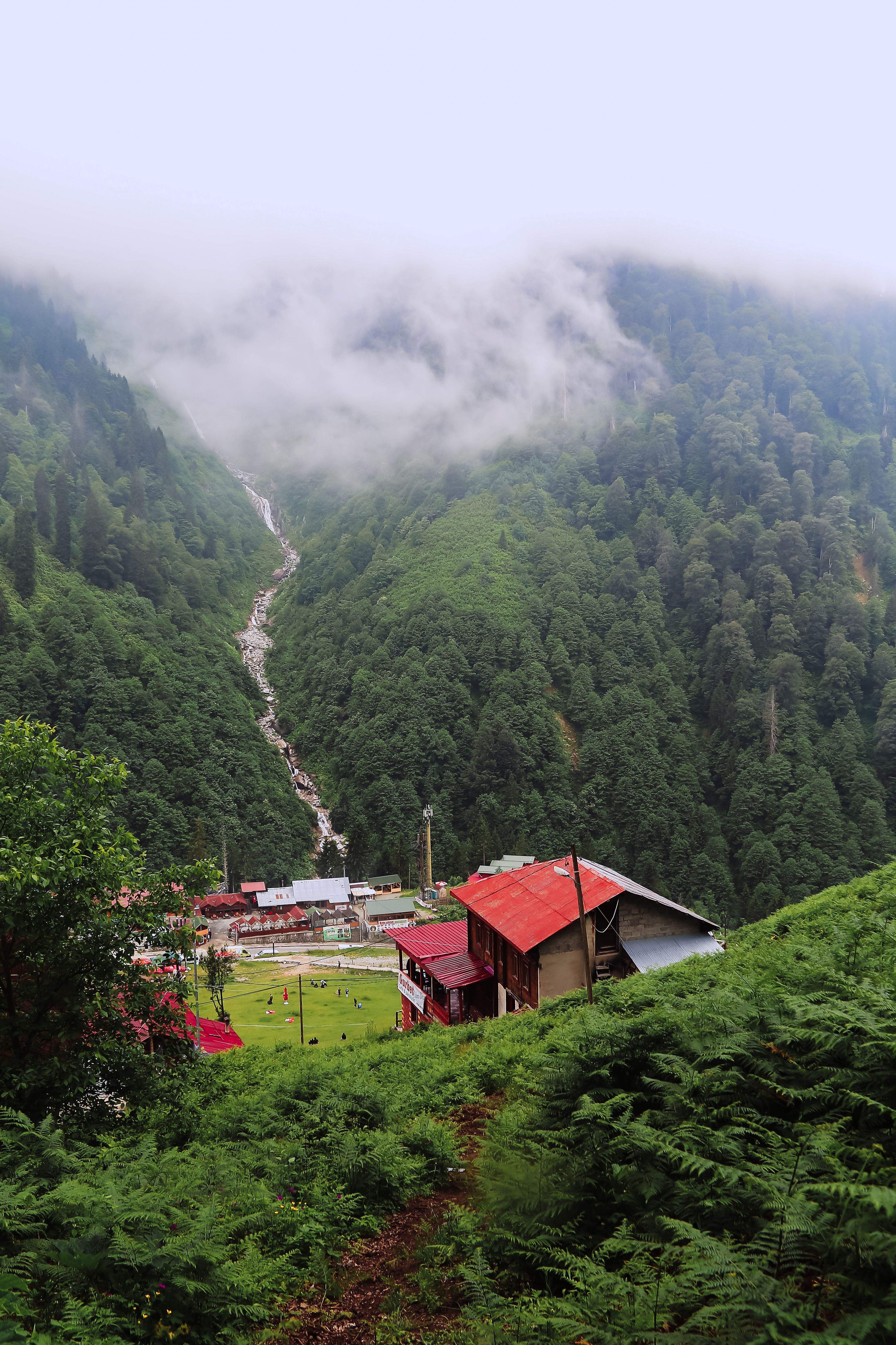 Tranquil Mountain Village with Misty Forest Landscape · Free Stock