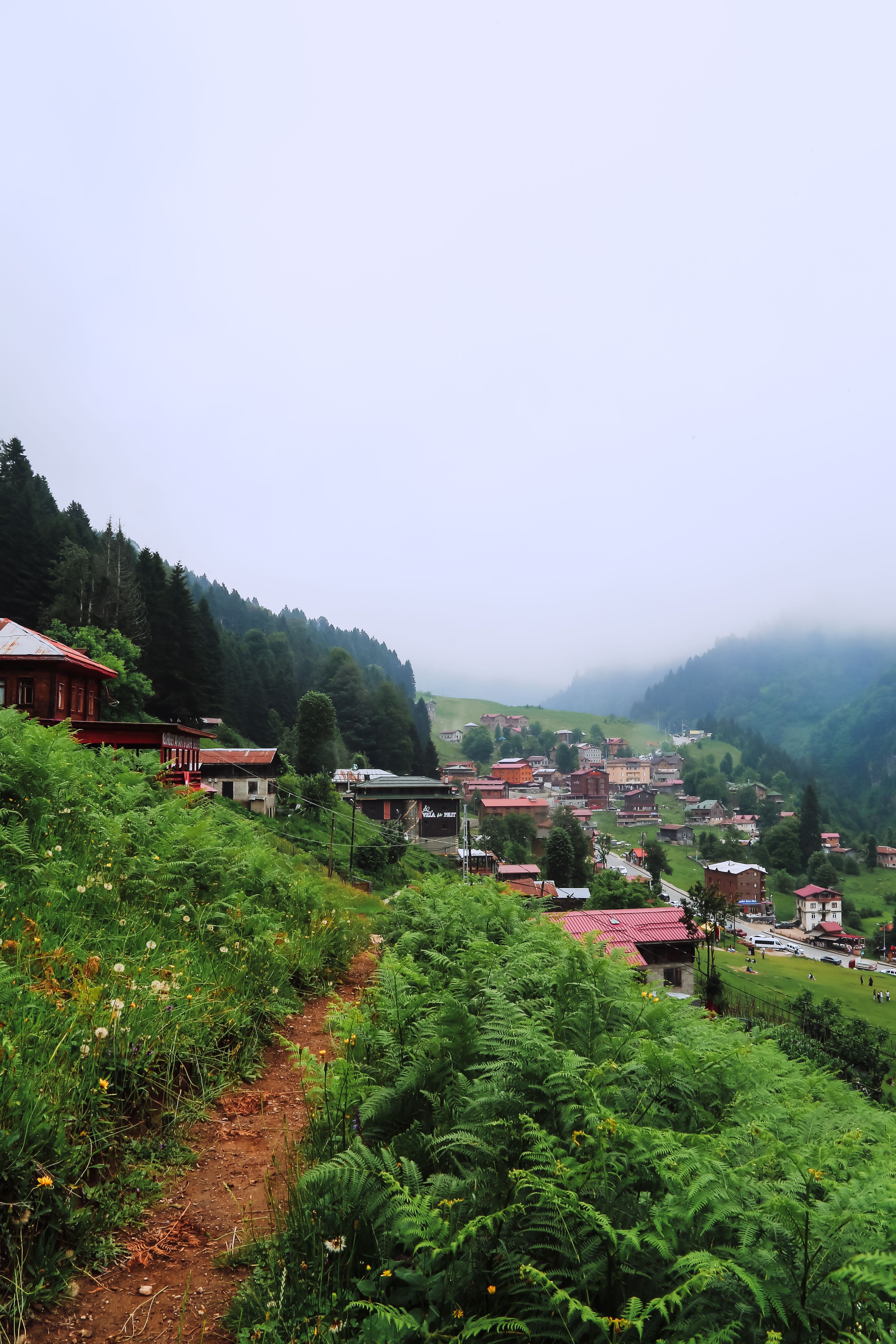 Idyllic village nestled in lush green mountains, shrouded in mist.