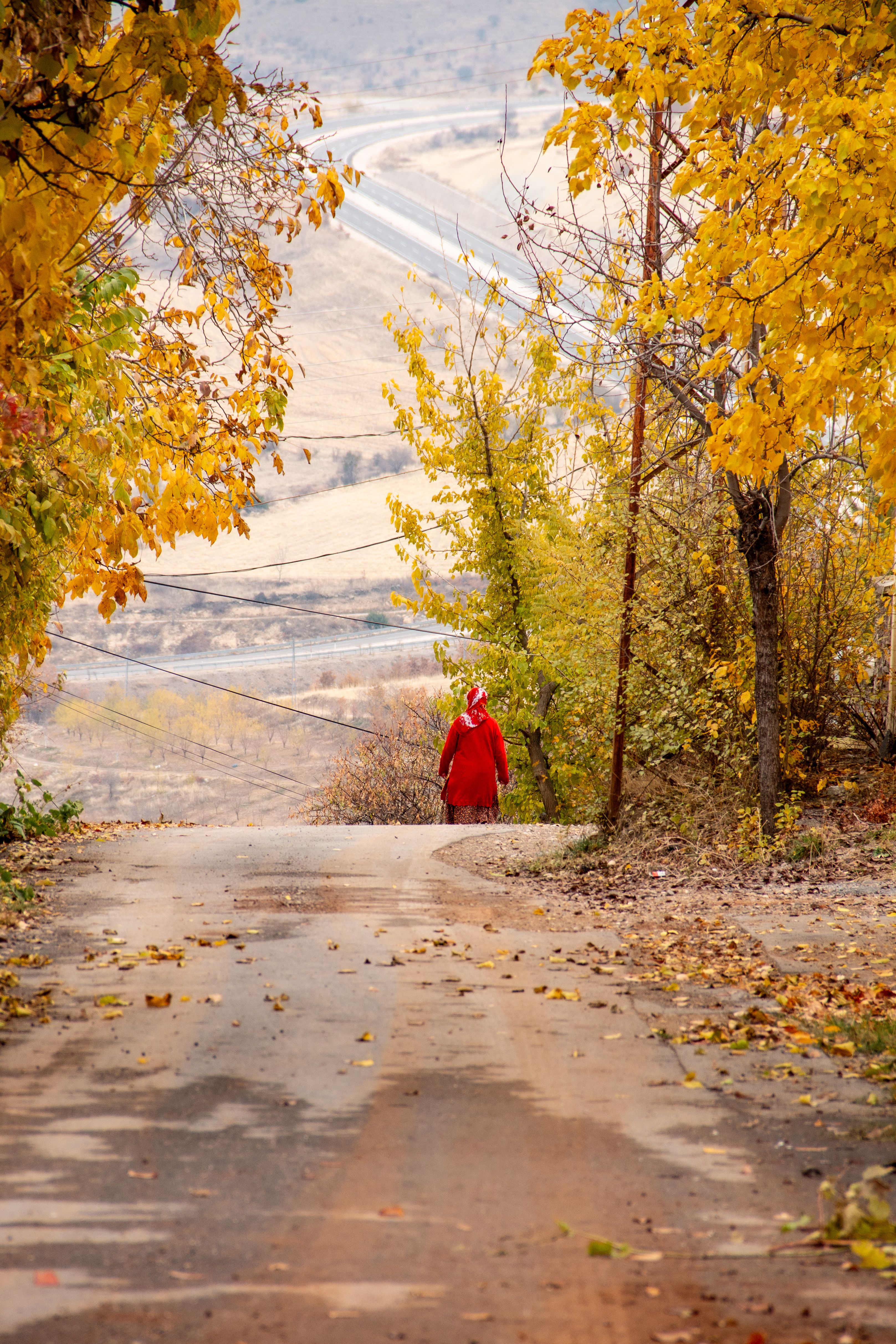 Autumn Road Scene in Rural Türkiye · Free Stock Photo