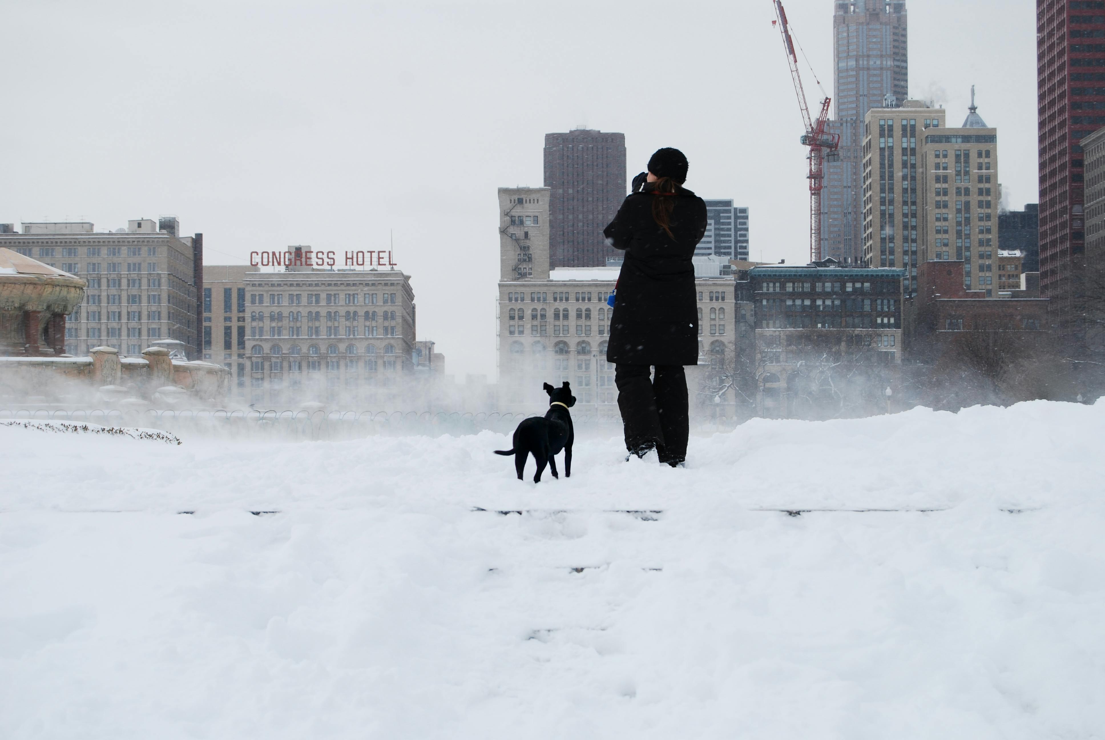 Dog walker on lakefront path with Chicago skyline in background - pet-friendly apartments chicago