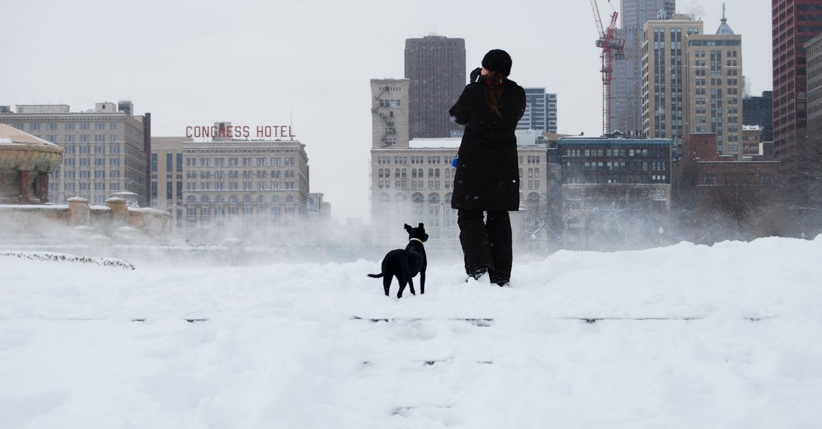 Chicago’s Record-Breaking November Snowfall Is About Much More Than Weather Chicago’s Record-Breaking November Snowfall Is About Much More Than Weather