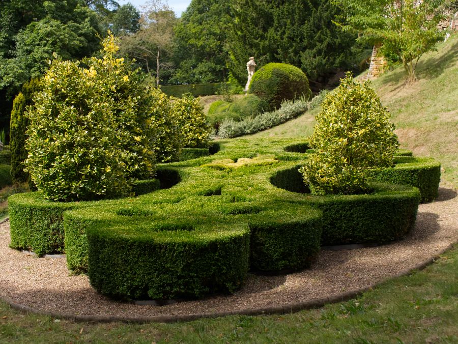 Formal topiary with lavender borders in a Cotswolds garden