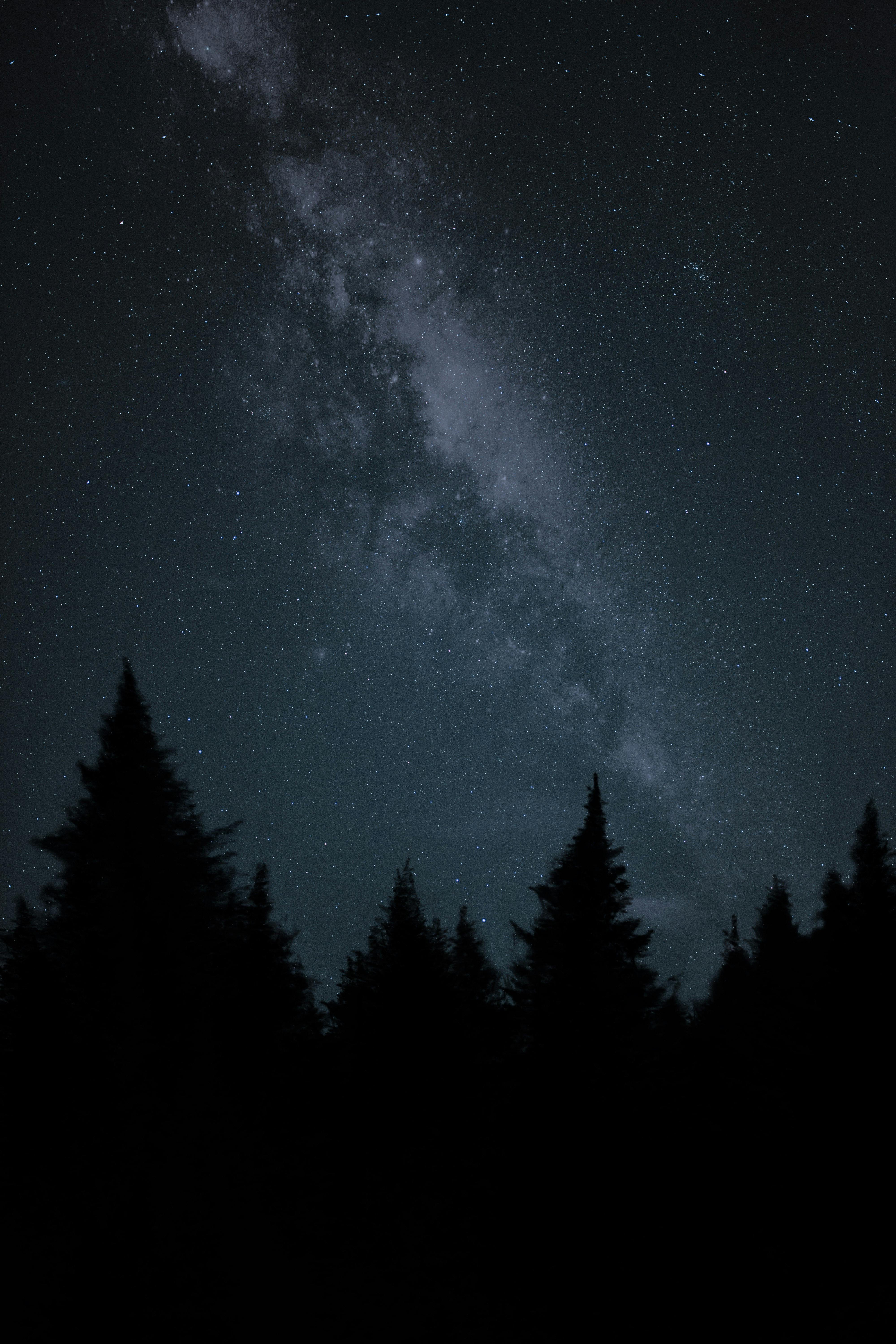 Night view of the Milky Way above a dense forest in Slovakia, capturing the beauty of the stars.