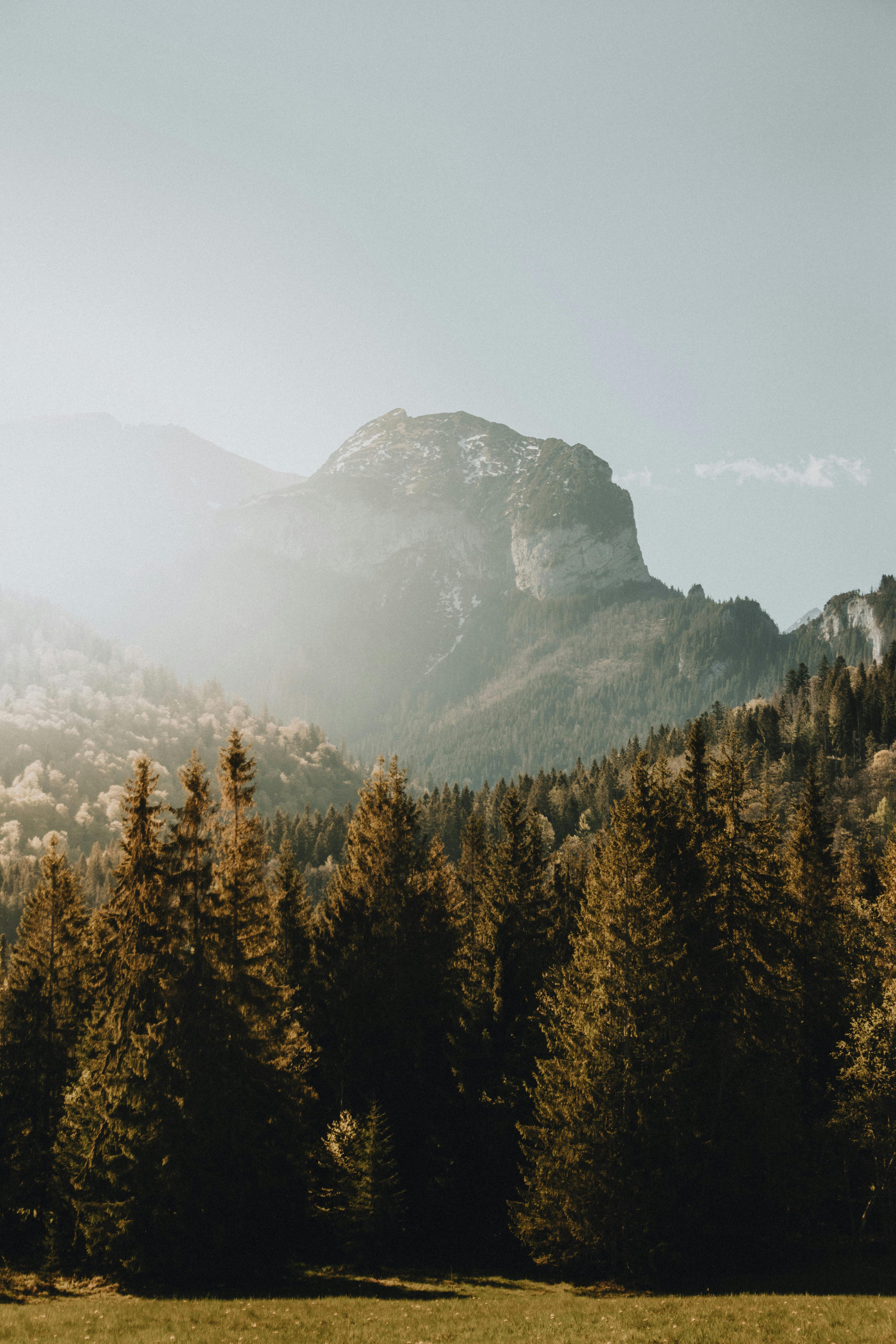 Serene view of Slovakia's mountains with lush pine forest and misty morning light.