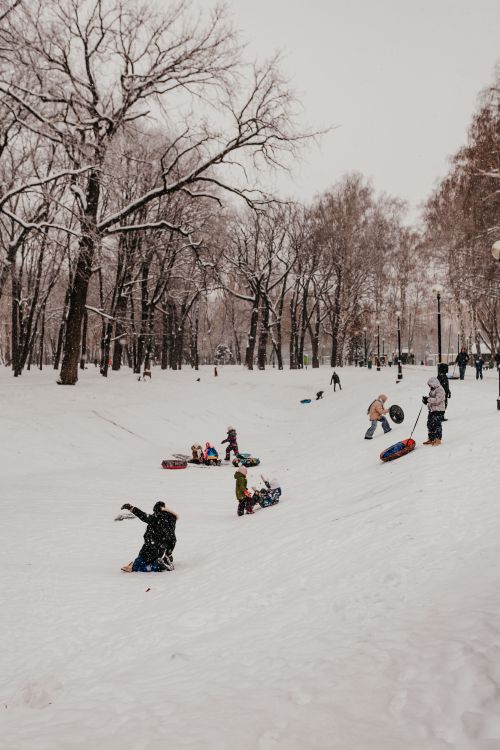 Free Children enjoying sledding down a snowy hill in a winter park setting. Stock Photo