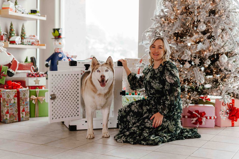 How Crate Training Solves Puppy Housebreaking and Separation Anxiety Woman and Siberian Husky beside Christmas tree with gifts, celebrating indoors.