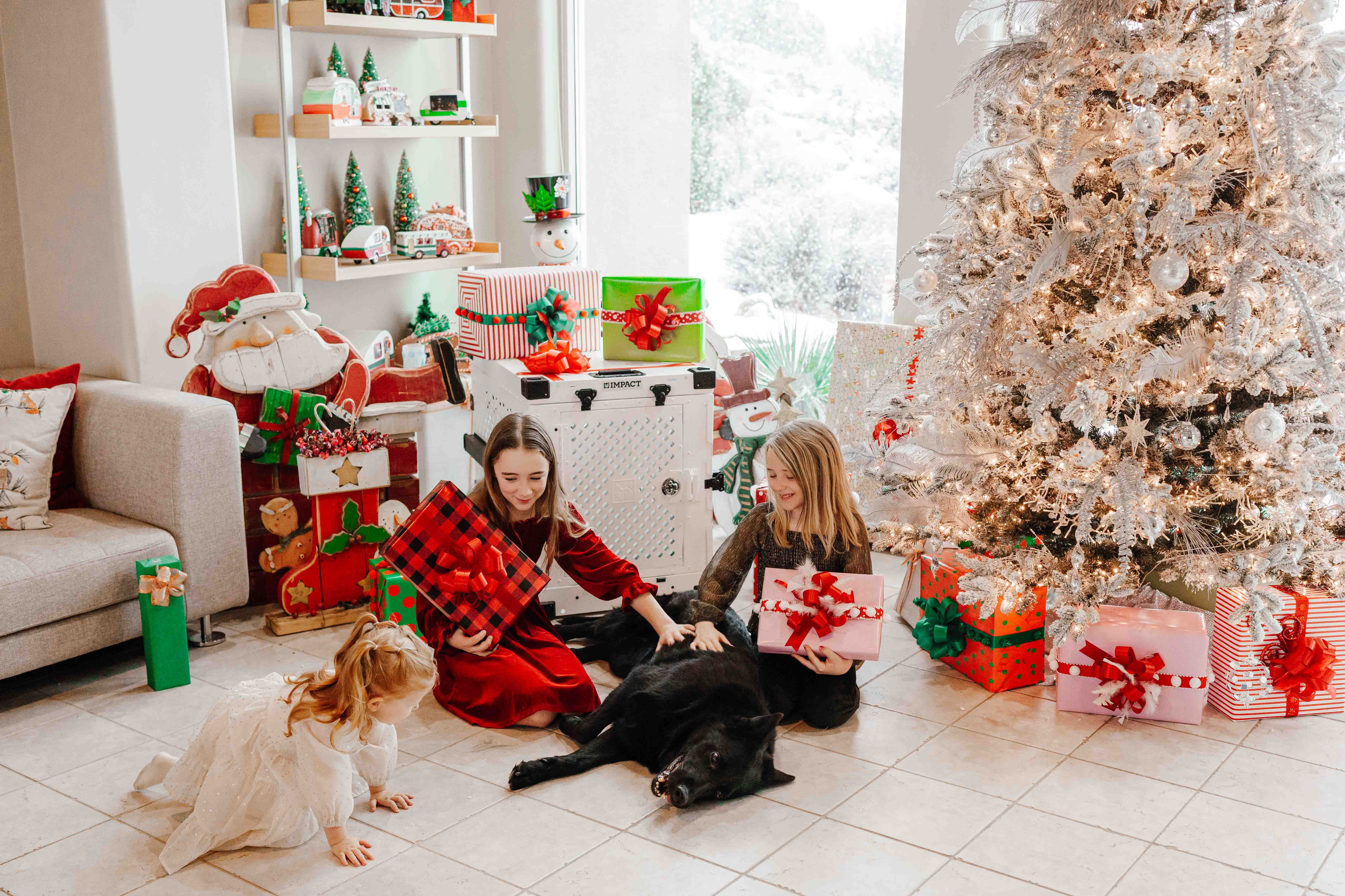 Ultimate Summer Pet Gift Guide: Premium Treats Your Dog and 