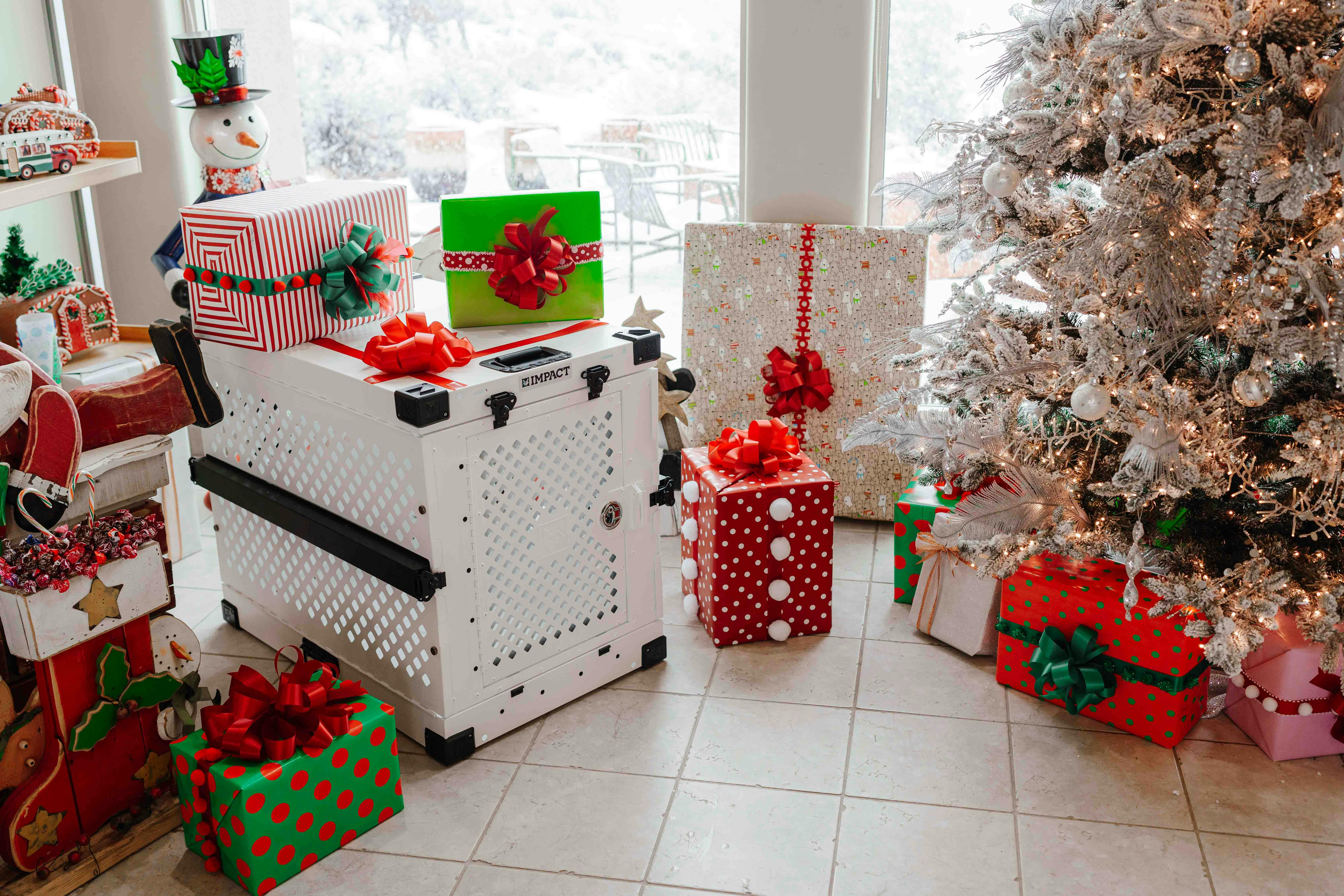 Best gift ever? Matt Fitzpatrick can change his brother’s career - GOLF.com — Photo by Impact Dog Crates on Pexels