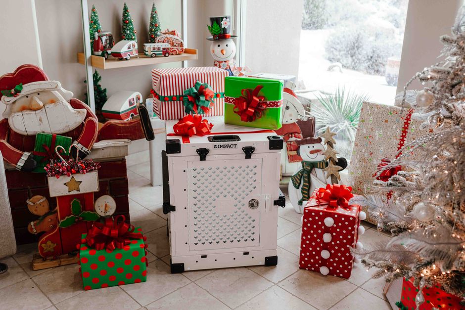 How Crate Training Solves Puppy Housebreaking and Separation Anxiety Cozy indoor Christmas scene with festive gifts and decorations.