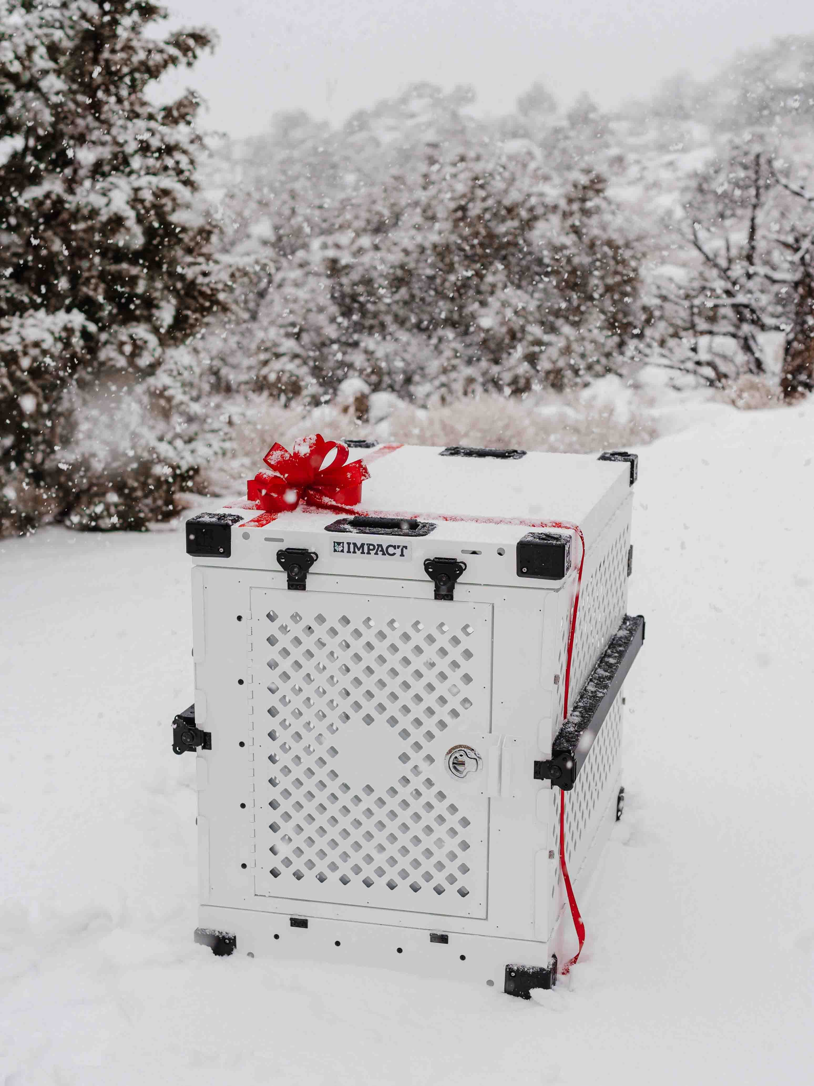 Picture of Festive Dog Crate in Snowy Winter Landscape · Free Stock Photo