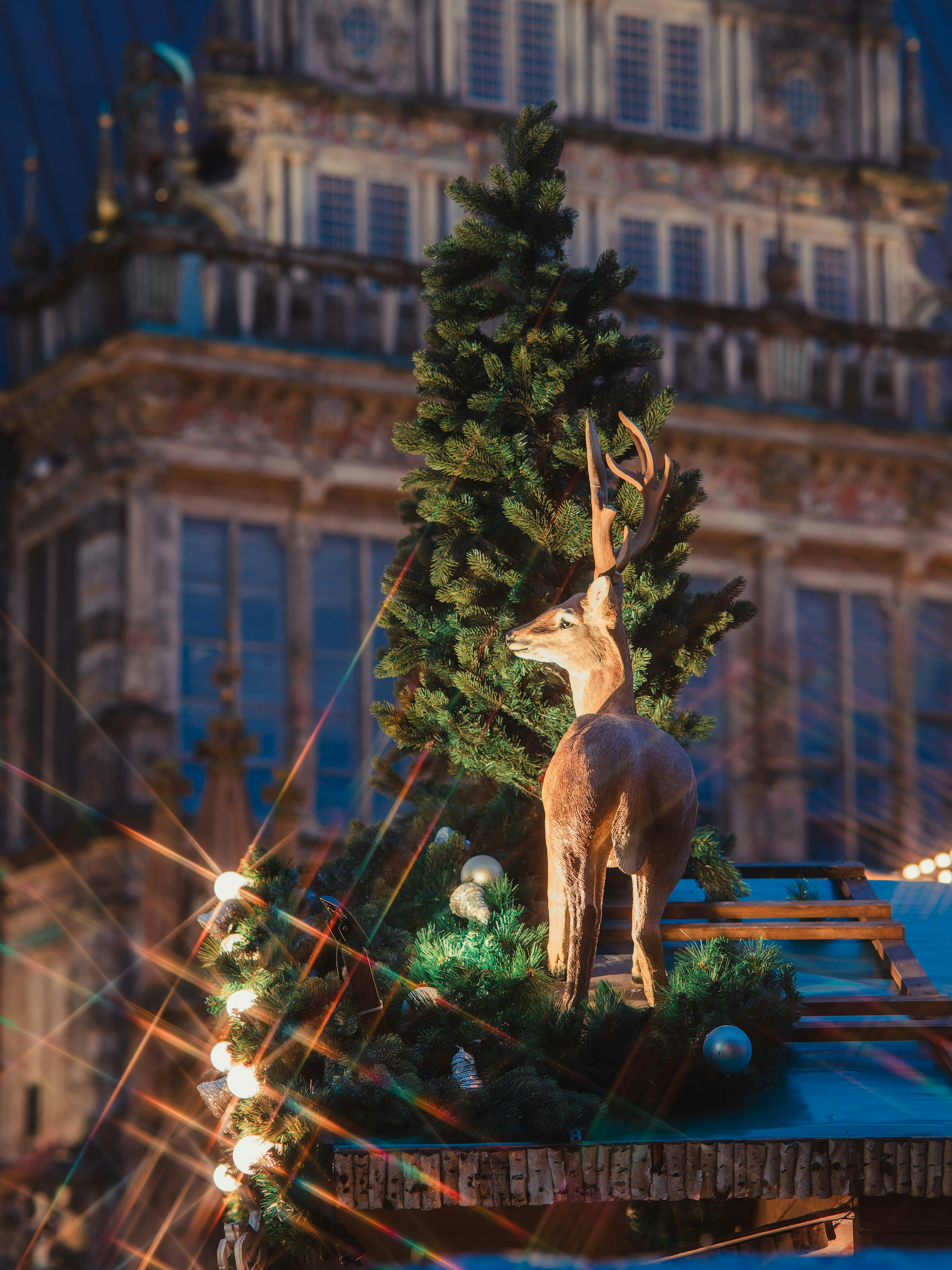 festive christmas market with deer decor